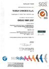 OHSAS_18001_гибкая_черепица_TEGOLA